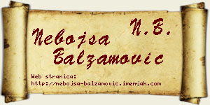 Nebojša Balzamović vizit kartica